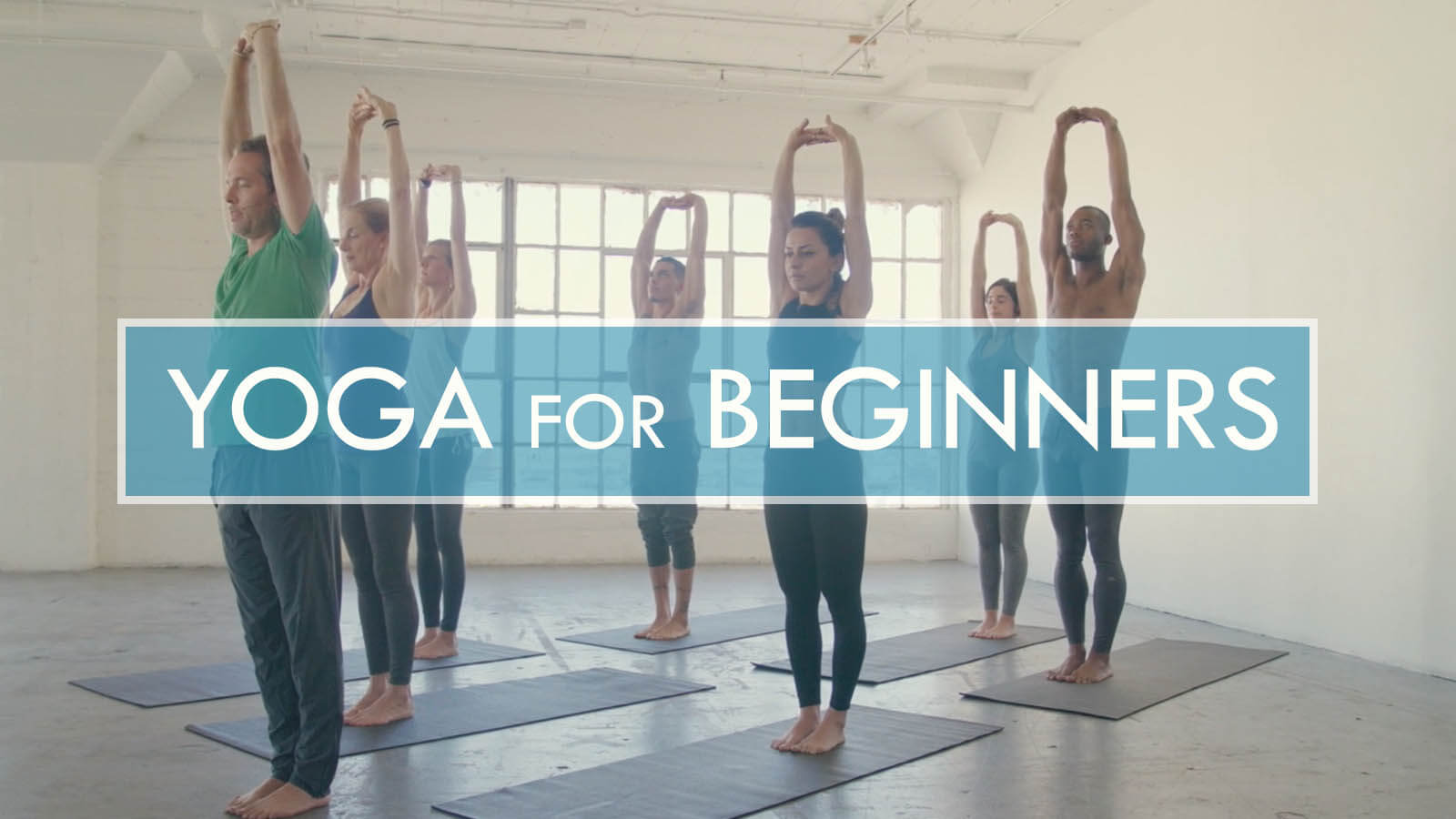 YOGA FOR BEGINNERS travis eliot