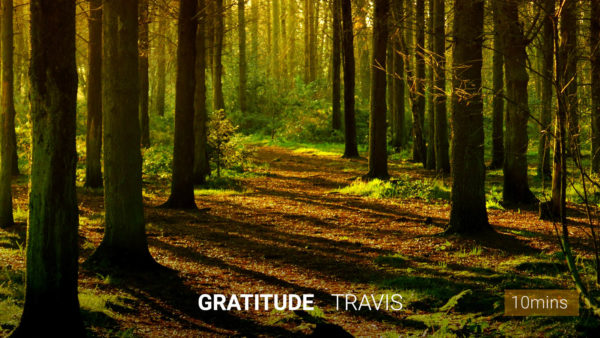 Gratitude Meditation