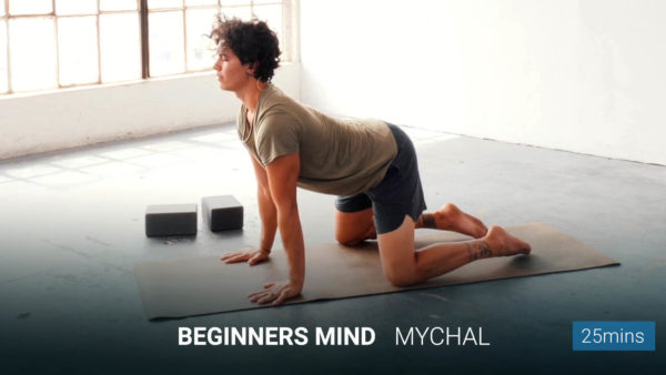 Beginners Mind