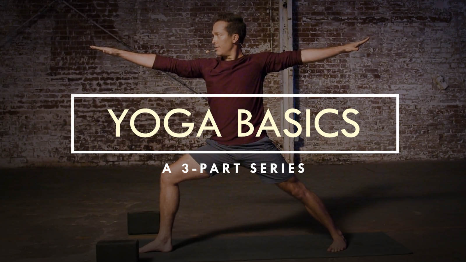 yoga basics travis eliot