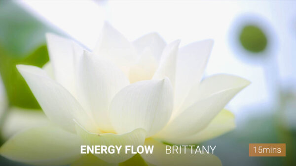 Energy Flow