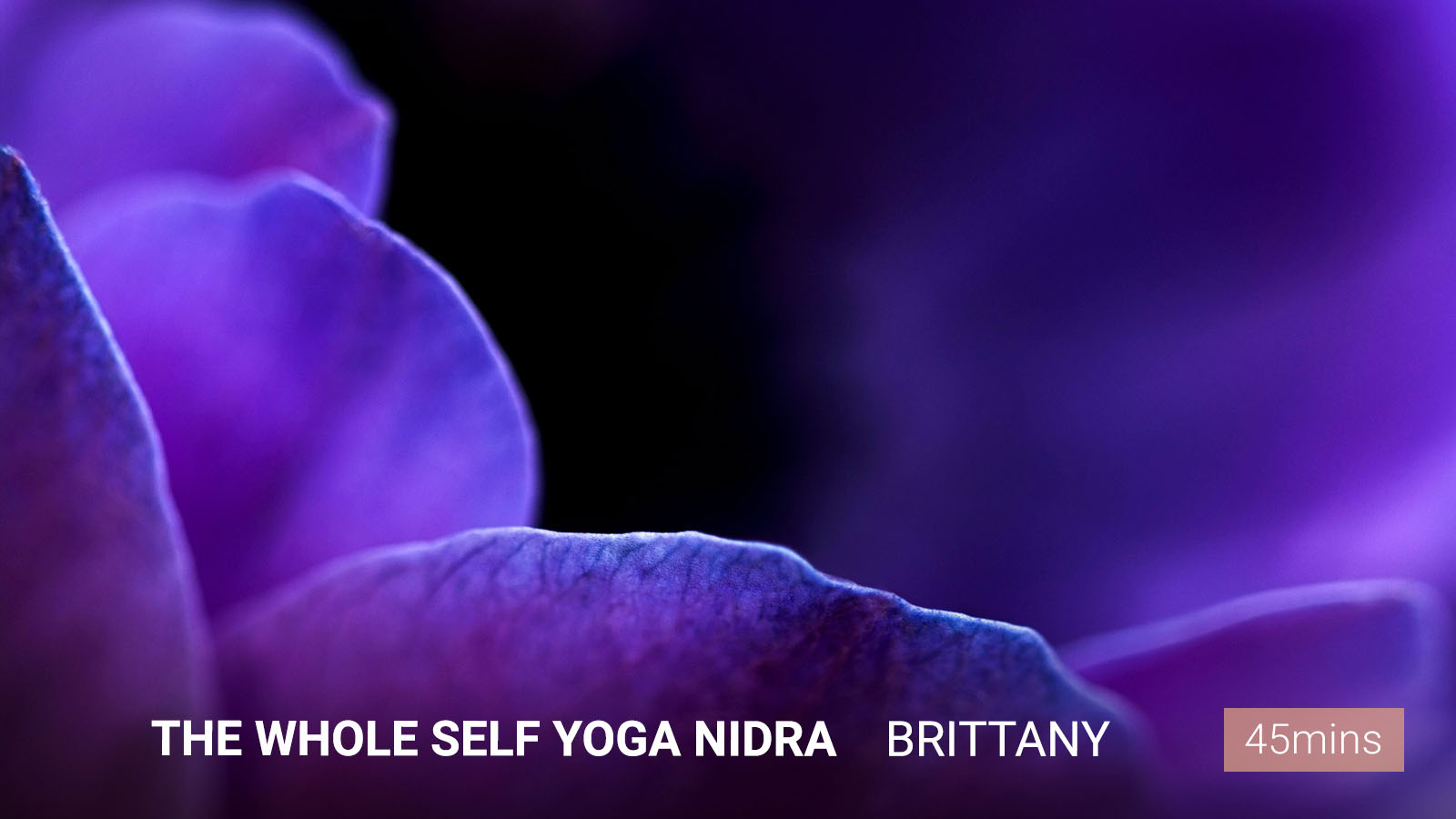 The Whole Self Yoga Nidra