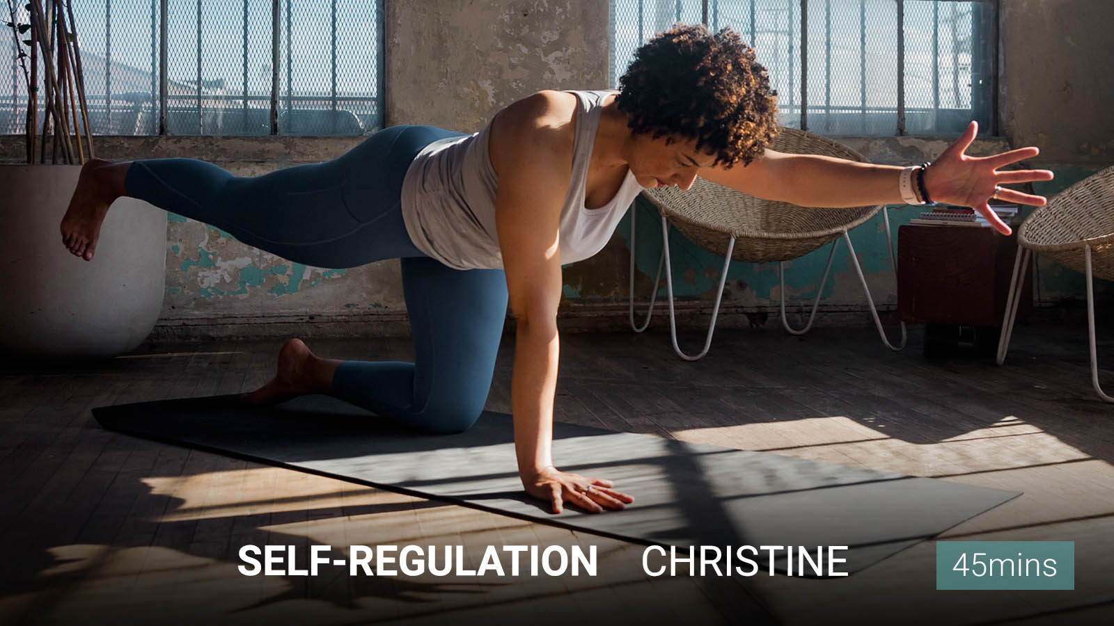 Self-Regulation